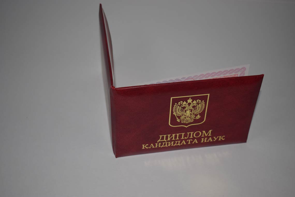 Диплом Кандидата Наук 2013-2016 в Обнинске корка