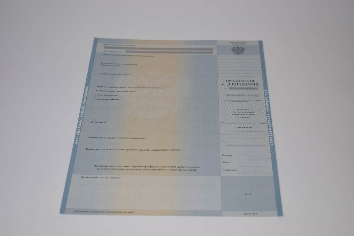 Диплом Магистра с 2003-2008 в Обнинске приложение